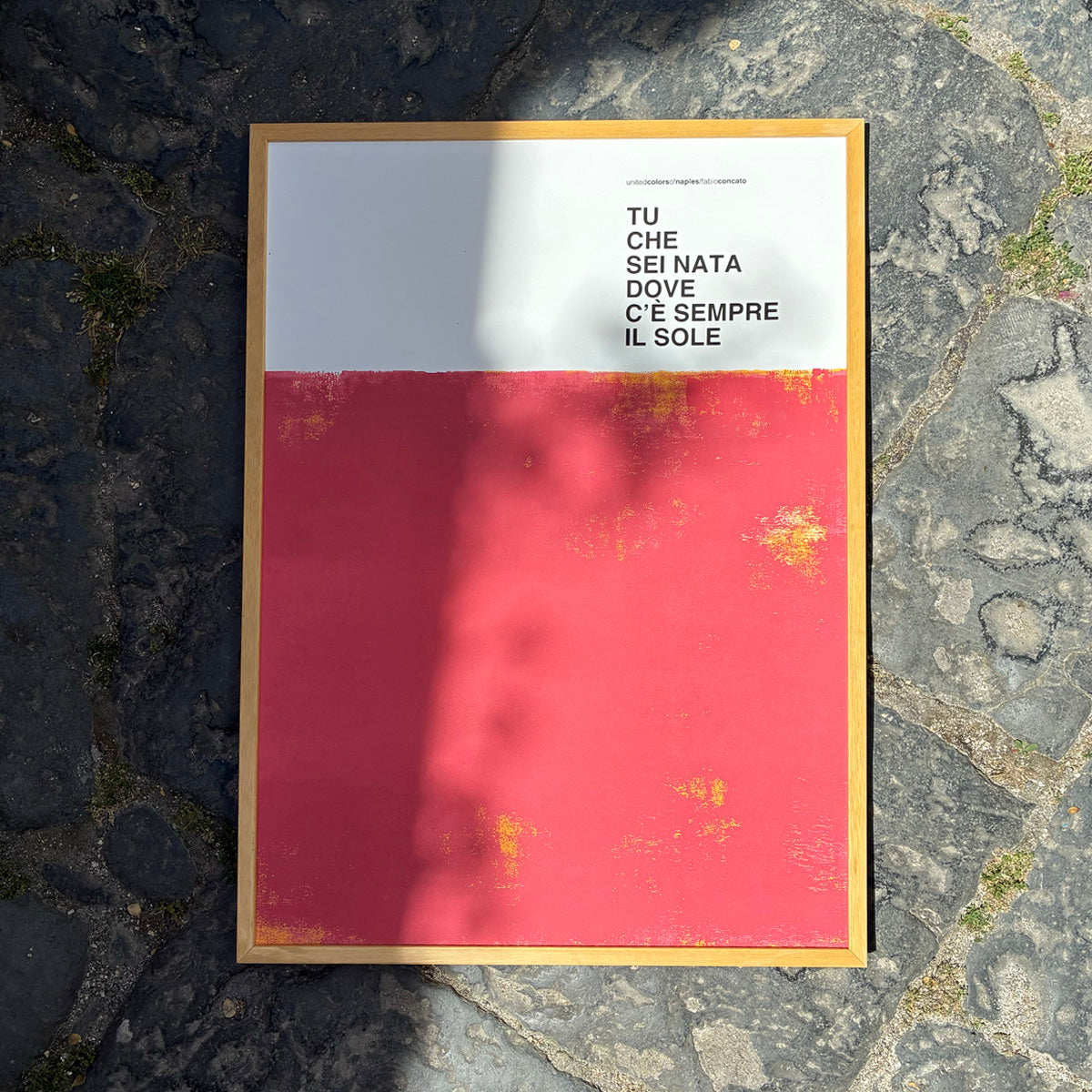 Fiore di Maggio, Fabio Concato